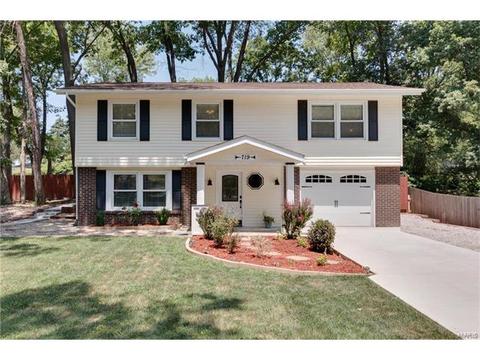 719 Montbrook Dr, O'fallon, MO 63366 photo 1