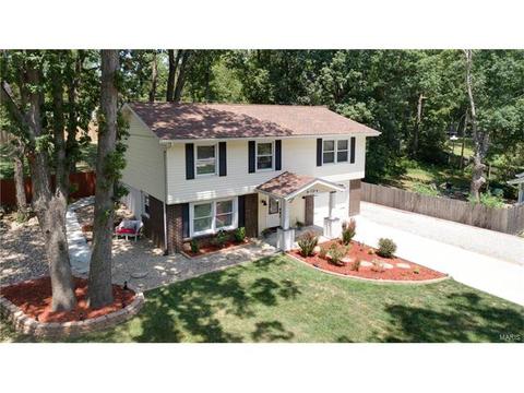 719 Montbrook Dr, O'fallon, MO 63366 photo 40