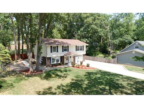 719 Montbrook Dr, O'fallon, MO 63366 photo 41