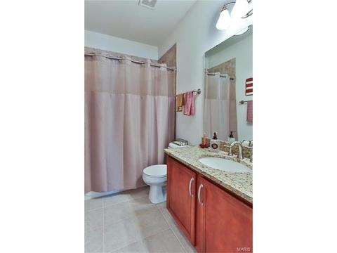 588 Bluffs View Ct, Eureka, MO 63025 photo 21