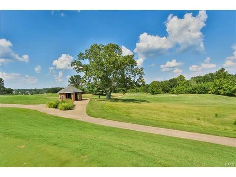 588 Bluffs View Ct, Eureka, MO 63025 photo 33