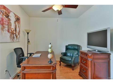 588 Bluffs View Ct, Eureka, MO 63025 photo 20