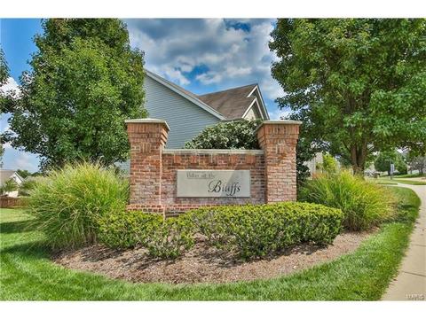 588 Bluffs View Ct, Eureka, MO 63025 photo 28