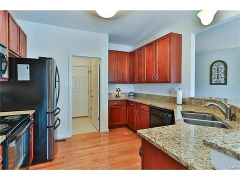 588 Bluffs View Ct, Eureka, MO 63025 photo 12