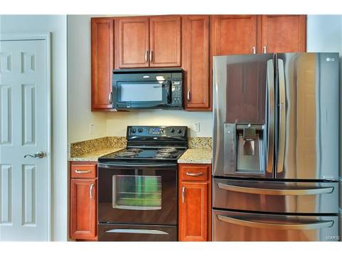588 Bluffs View Ct, Eureka, MO 63025 photo 13