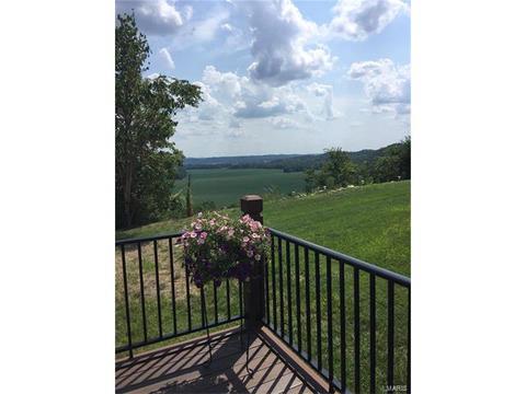 588 Bluffs View Ct, Eureka, MO 63025 photo 26