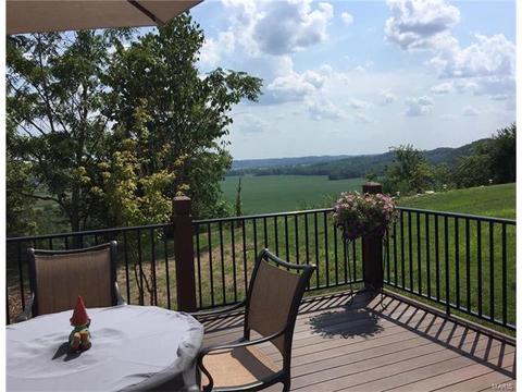588 Bluffs View Ct, Eureka, MO 63025 photo 2