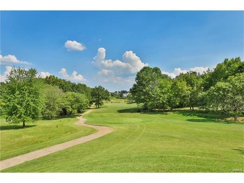 588 Bluffs View Ct, Eureka, MO 63025 photo 34