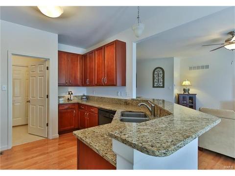 588 Bluffs View Ct, Eureka, MO 63025 photo 14