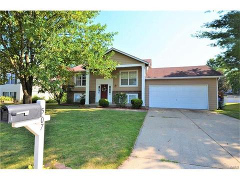 507 Sunward Dr, O'fallon, MO 63368 photo 1
