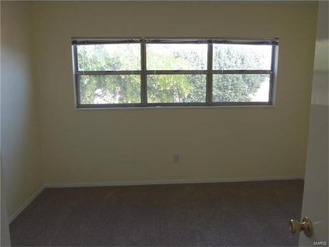 325 Fox Village Ct, Ballwin, MO 63021 photo 15