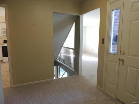 325 Fox Village Ct, Ballwin, MO 63021 photo 4