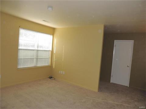 325 Fox Village Ct, Ballwin, MO 63021 photo 10