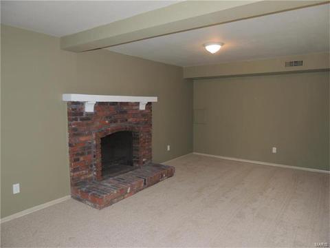 325 Fox Village Ct, Ballwin, MO 63021 photo 16