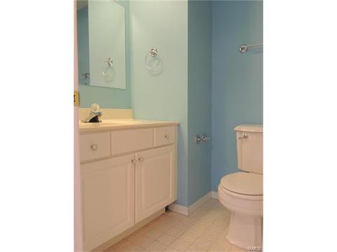 325 Fox Village Ct, Ballwin, MO 63021 photo 13