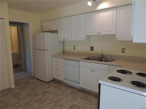 325 Fox Village Ct, Ballwin, MO 63021 photo 7