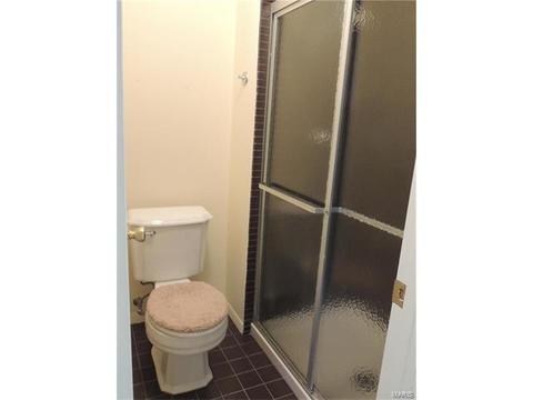 325 Fox Village Ct, Ballwin, MO 63021 photo 12
