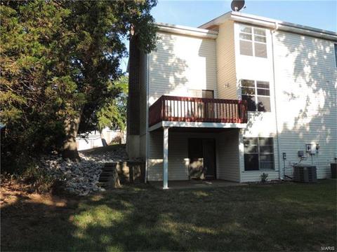 325 Fox Village Ct, Ballwin, MO 63021 photo 20