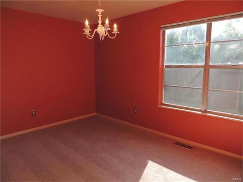325 Fox Village Ct, Ballwin, MO 63021 photo 9