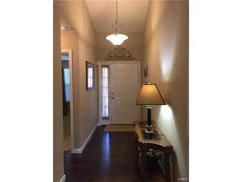 928 Daffodil Ridge Dr, O'fallon, MO 63366 photo 15