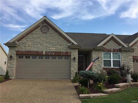 928 Daffodil Ridge Dr, O'fallon, MO 63366 photo 23