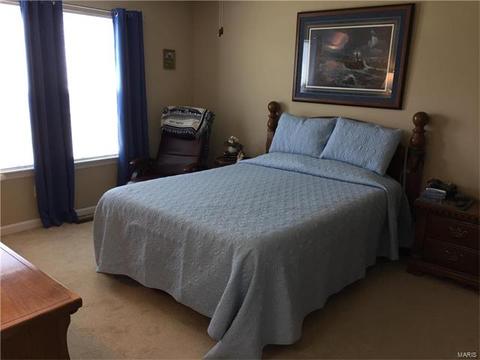 928 Daffodil Ridge Dr, O'fallon, MO 63366 photo 6
