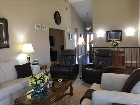 928 Daffodil Ridge Dr, O'fallon, MO 63366 photo 10