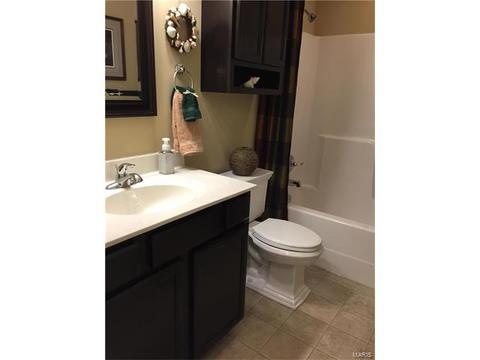 928 Daffodil Ridge Dr, O'fallon, MO 63366 photo 16