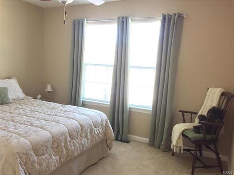928 Daffodil Ridge Dr, O'fallon, MO 63366 photo 5