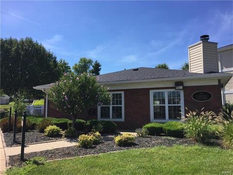 928 Daffodil Ridge Dr, O'fallon, MO 63366 photo 21