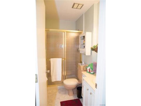 317 Oakfield Dr, Ballwin, MO 63021 photo 29