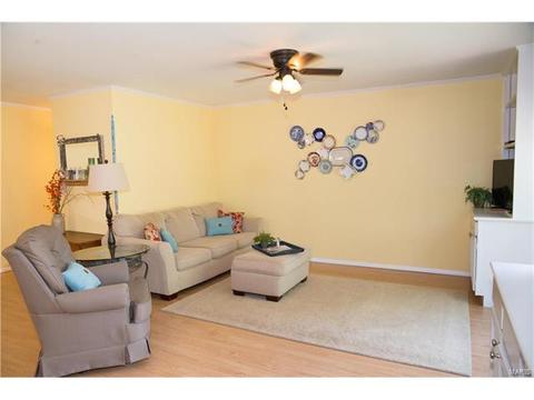 317 Oakfield Dr, Ballwin, MO 63021 photo 10