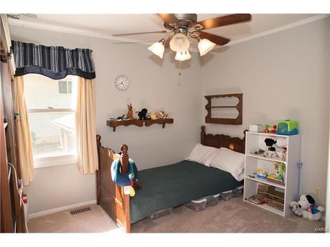 317 Oakfield Dr, Ballwin, MO 63021 photo 11