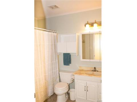 317 Oakfield Dr, Ballwin, MO 63021 photo 14
