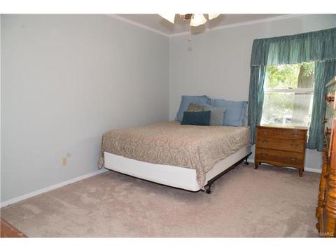 317 Oakfield Dr, Ballwin, MO 63021 photo 15
