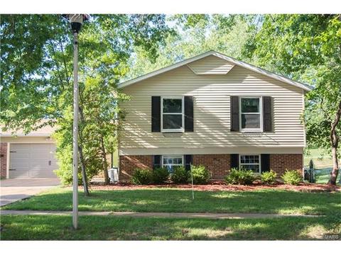 317 Oakfield Dr, Ballwin, MO 63021 photo 2