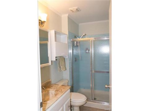 317 Oakfield Dr, Ballwin, MO 63021 photo 18