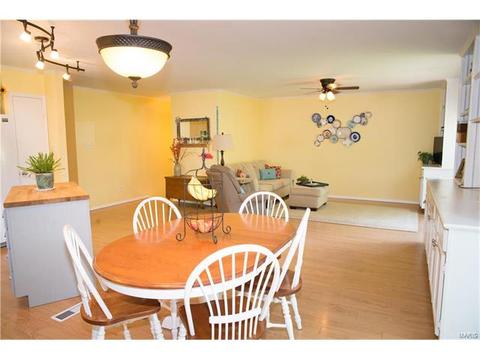 317 Oakfield Dr, Ballwin, MO 63021 photo 9