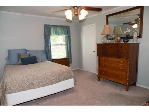 317 Oakfield Dr, Ballwin, MO 63021 photo 16