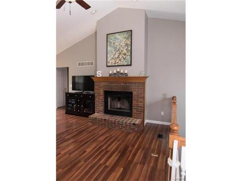 12 Red Cedar Parc Ct, O'fallon, MO 63368 photo 4