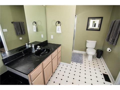 12 Red Cedar Parc Ct, O'fallon, MO 63368 photo 11