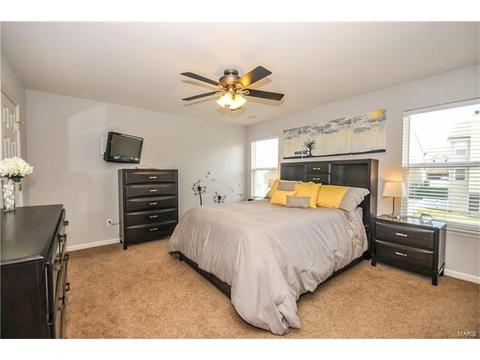 607 Spring Mnr, O'fallon, MO 63368 photo 14