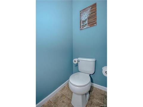 607 Spring Mnr, O'fallon, MO 63368 photo 13