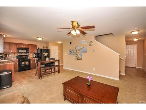 607 Spring Mnr, O'fallon, MO 63368 photo 6