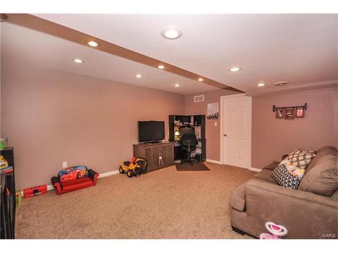 607 Spring Mnr, O'fallon, MO 63368 photo 25