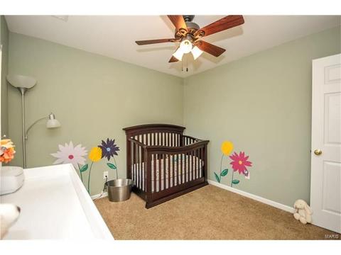 607 Spring Mnr, O'fallon, MO 63368 photo 19