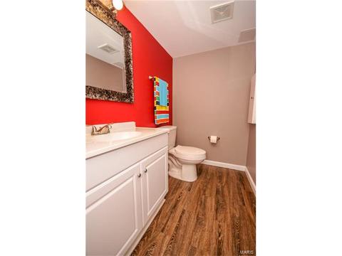 607 Spring Mnr, O'fallon, MO 63368 photo 27