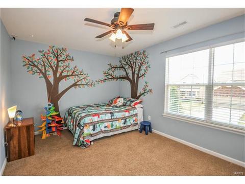 607 Spring Mnr, O'fallon, MO 63368 photo 22