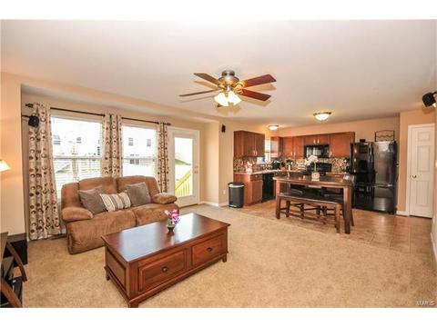 607 Spring Mnr, O'fallon, MO 63368 photo 4