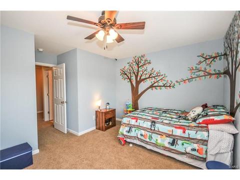607 Spring Mnr, O'fallon, MO 63368 photo 21